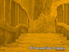 Der Umgang mit den Toten – eine Frage der Religions- und Weltanschauungsfreiheit und der Menschenwürde