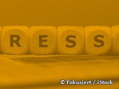 Unrecht anerkennen! Den Opfern des Kolonialismus Respekt erweisen!